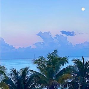 Meet your Posher, Sylvía